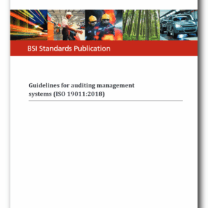 BS EN ISO 19011:2018